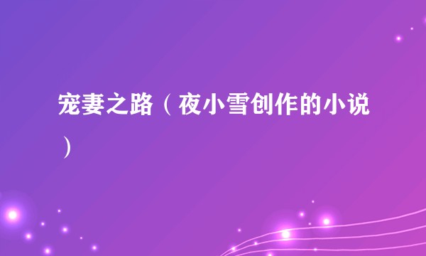 宠妻之路（夜小雪创作的小说）