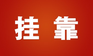 挂靠