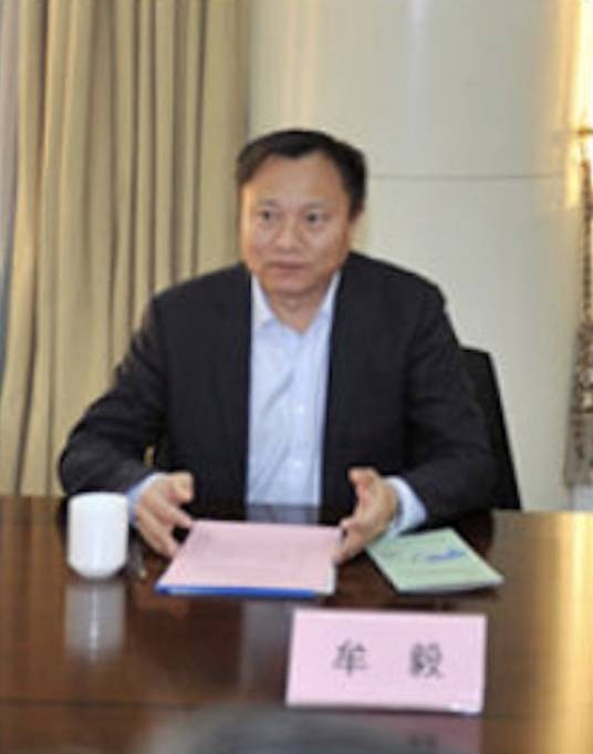 牟毅(中国进出口银行评审管理部第三分部主任)