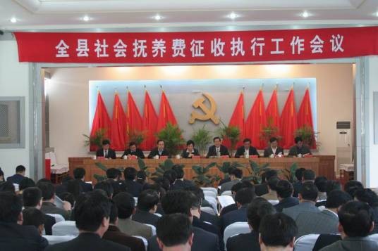 社会抚养费