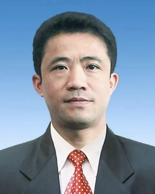 秦山成（湖南省岳阳市公安局原局长）