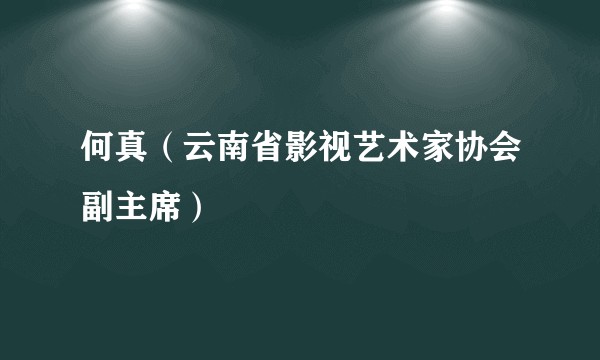 何真（云南省影视艺术家协会副主席）