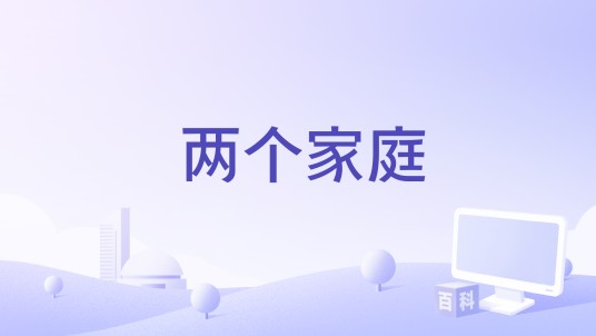 两个家庭(2007年Romano Scavolini执导的电影)