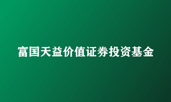 富国天益价值证券投资基金
