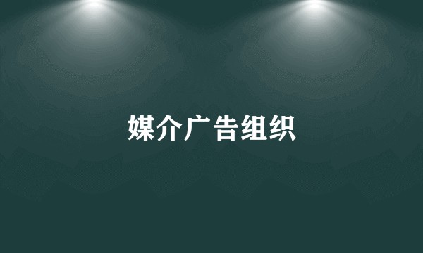 媒介广告组织