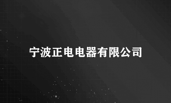 宁波正电电器有限公司