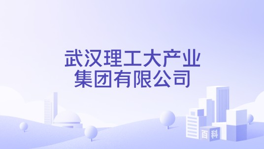 武汉理工大产业集团有限公司