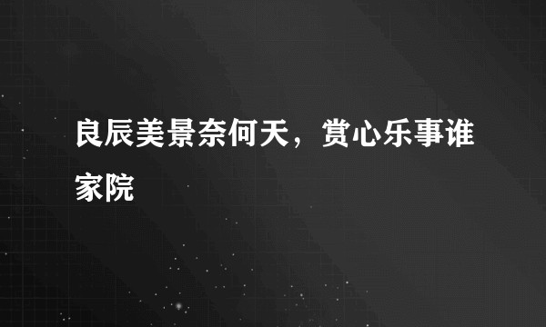良辰美景奈何天，赏心乐事谁家院