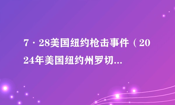 7·28美国纽约枪击事件(2024年美国纽约州罗切斯特市发生的枪击事件)