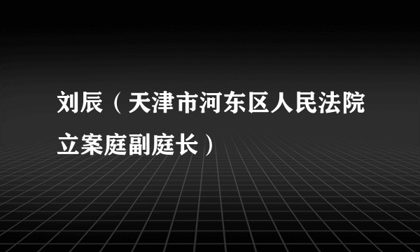 刘辰（天津市河东区人民法院立案庭副庭长）