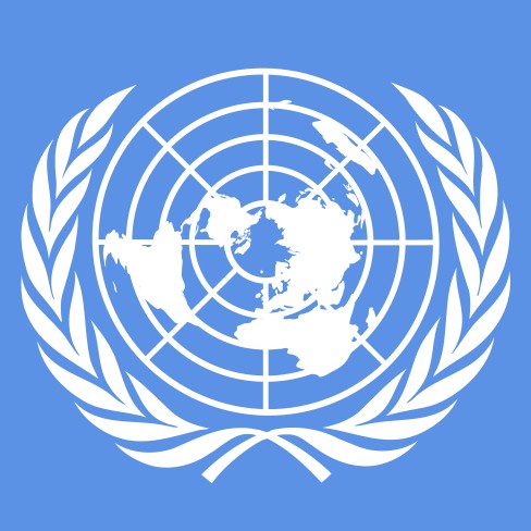 联合国安全理事会