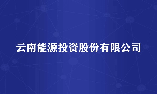 云南能源投资股份有限公司