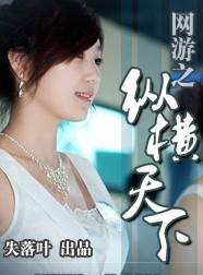 网游之纵横天下（失落叶创作的游戏竞技类网络小说）