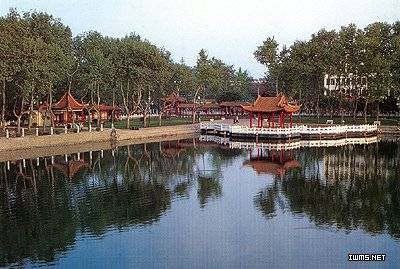 龙子湖区