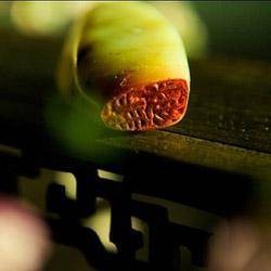 满天风雨下西楼