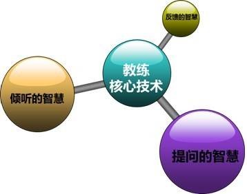 行动学习教练