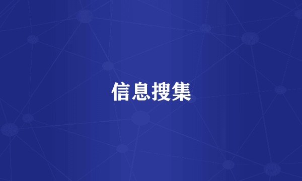 信息搜集