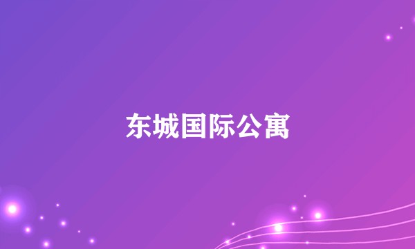 东城国际公寓
