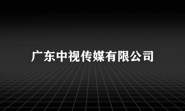 广东中视传媒有限公司