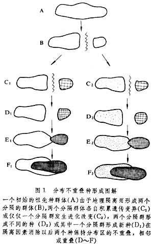 物种形成