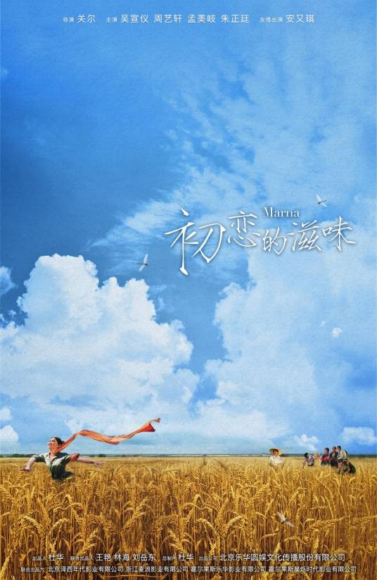 初恋的滋味（2030年关尔执导的电影）