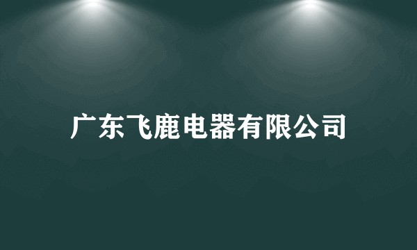 广东飞鹿电器有限公司