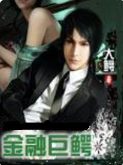 金融巨鳄（大鳄创作的网络小说）
