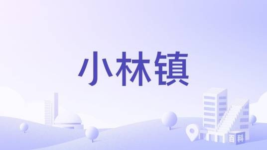 小林镇（广东省珠海市金湾区下辖镇）