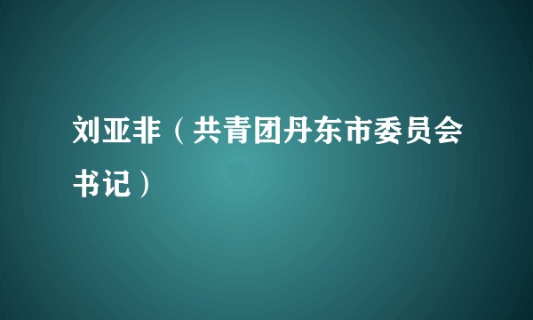 刘亚非（共青团丹东市委员会书记）