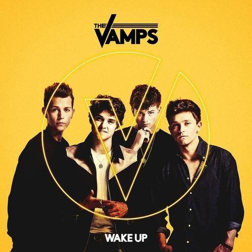 Risk It All(The Vamps演唱歌曲)