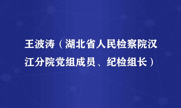 王波涛（湖北省人民检察院汉江分院党组成员、纪检组长）