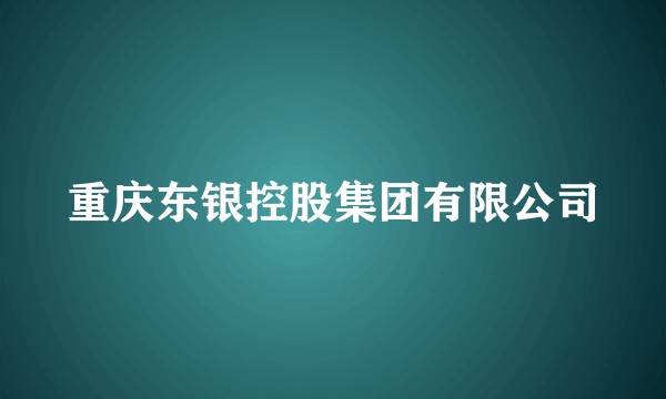 重庆东银控股集团有限公司
