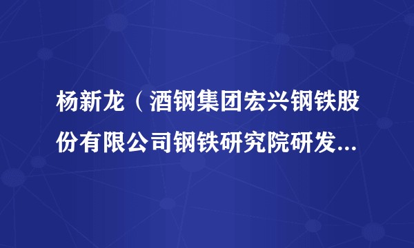 杨新龙（酒钢集团宏兴钢铁股份有限公司钢铁研究院研发技术负责人）