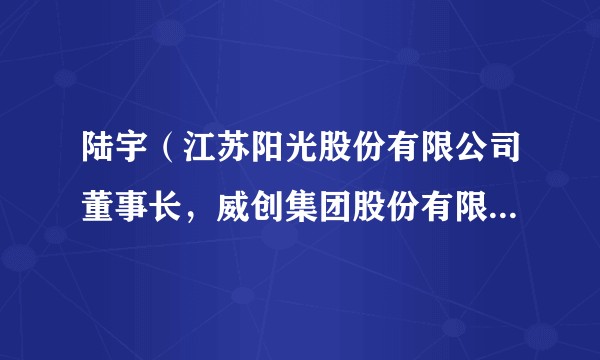 陆宇（江苏阳光股份有限公司董事长，威创集团股份有限公司董事长）