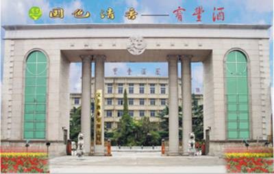 宝丰酒业有限公司