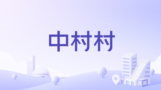 中村村（广东连平县上坪镇下辖村）
