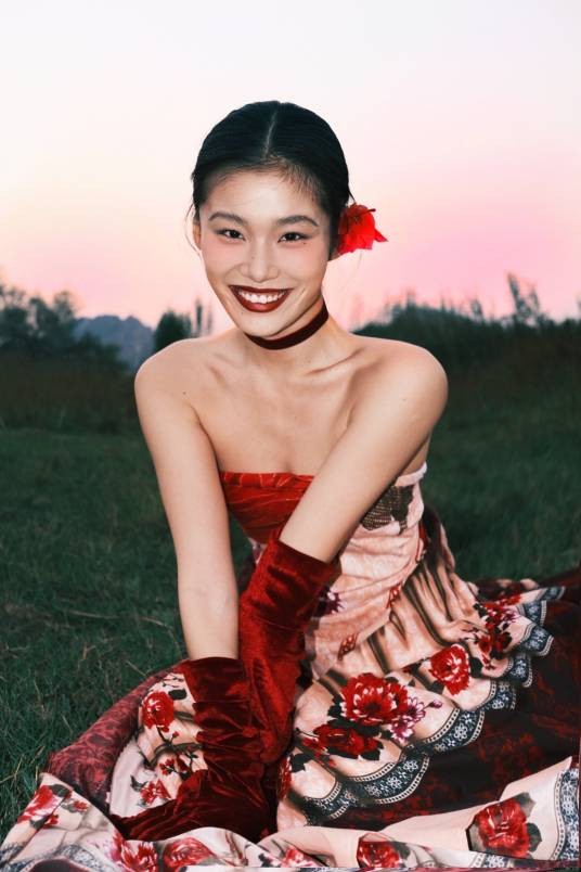 氧化菊