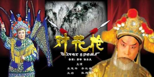 对花枪（2008年袁慧琴主演的电视电影）