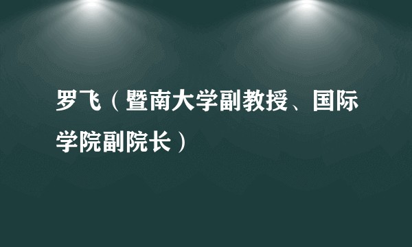 罗飞（暨南大学副教授、国际学院副院长）