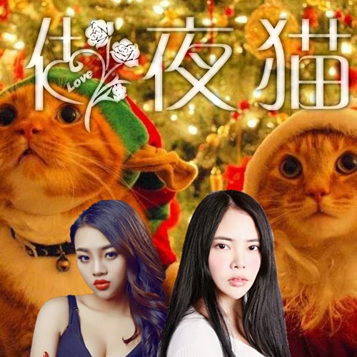 做夜猫