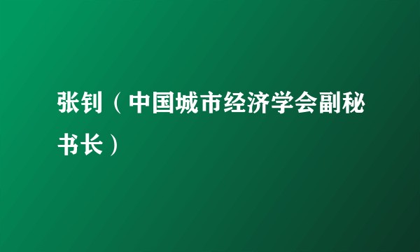 张钊（中国城市经济学会副秘书长）