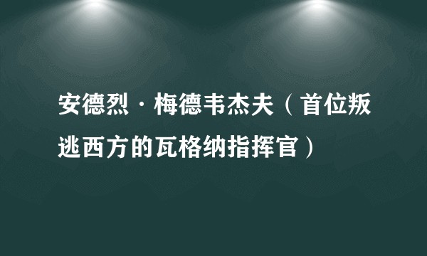 安德烈·梅德韦杰夫（首位叛逃西方的瓦格纳指挥官）