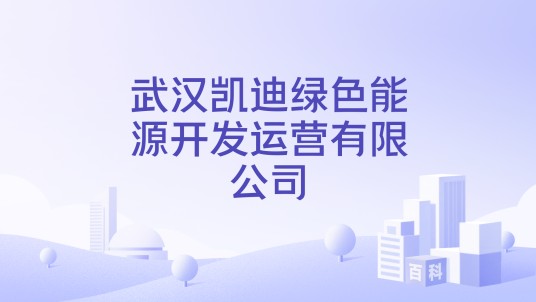 武汉凯迪绿色能源开发运营有限公司