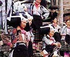 六枝梭嘎长角苗