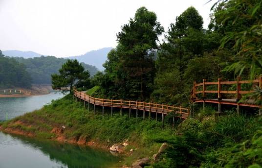 九龙湖度假区