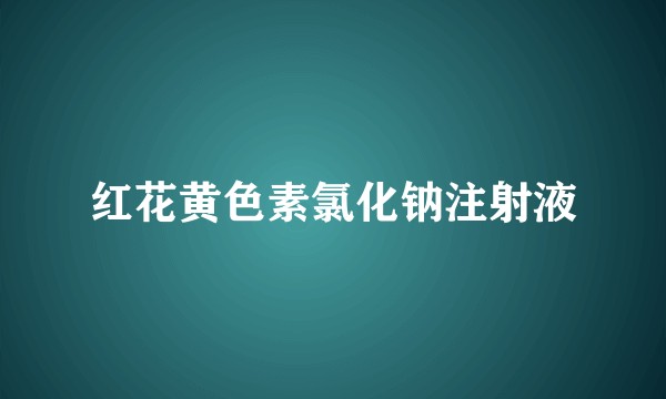 红花黄色素氯化钠注射液