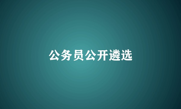 公务员公开遴选