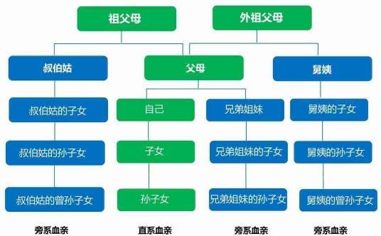 亲兄弟姐妹