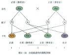 基因分离定律