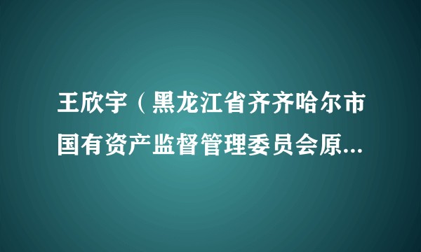 王欣宇（黑龙江省齐齐哈尔市国有资产监督管理委员会原副主任）